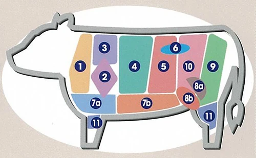 牛の体に正肉の部位を番号で示した部位図