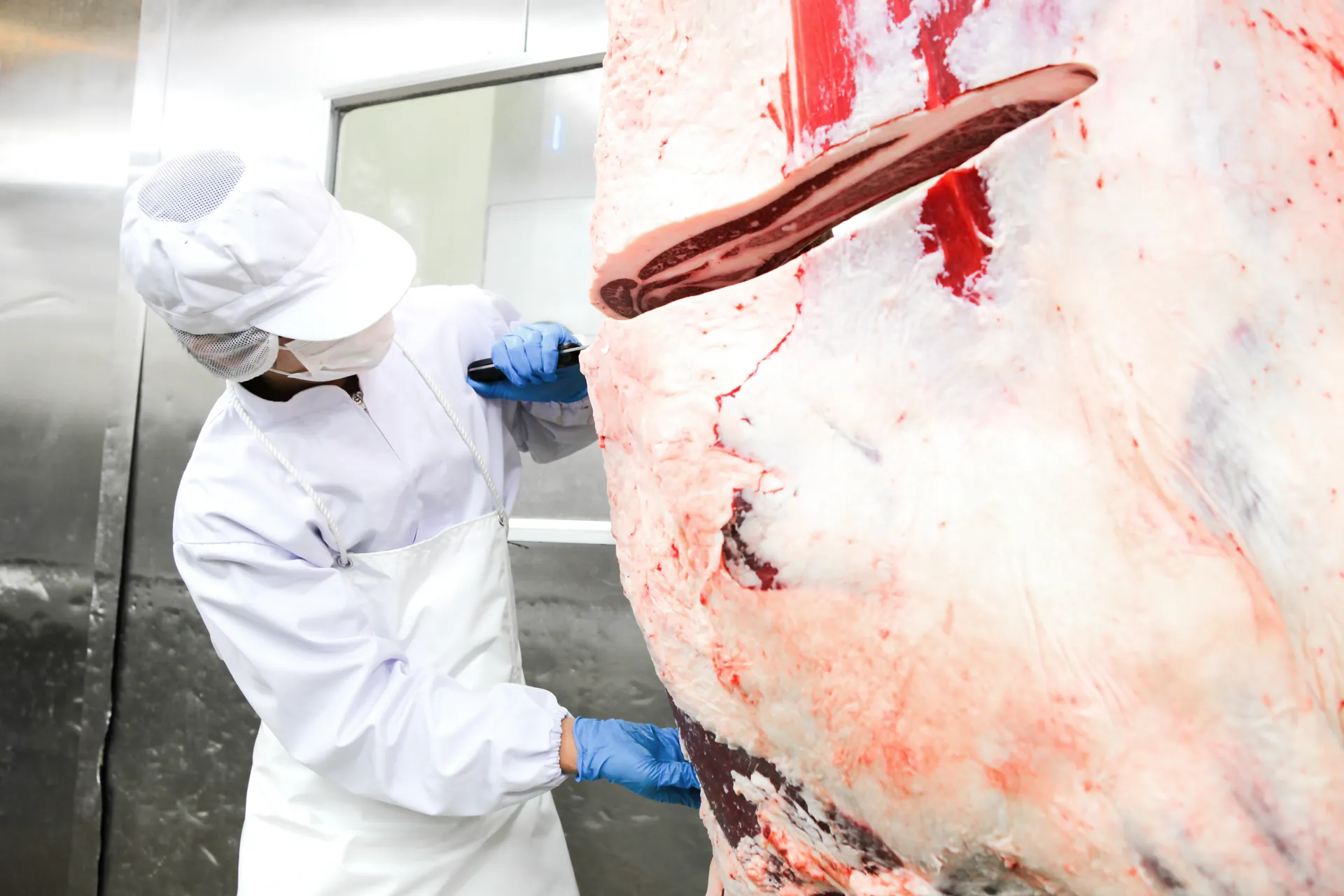 加工場で枝肉を手作業で処理する作業員